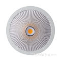 Utomhusvit 30W LED -ytmonterad rundljus